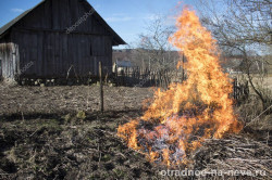 depositphotos_253017508-stock-photo-fire-outdoors-burning-dry-grass