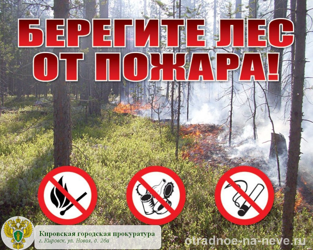 Новое В Лесном Законодательстве В 2022 Году
