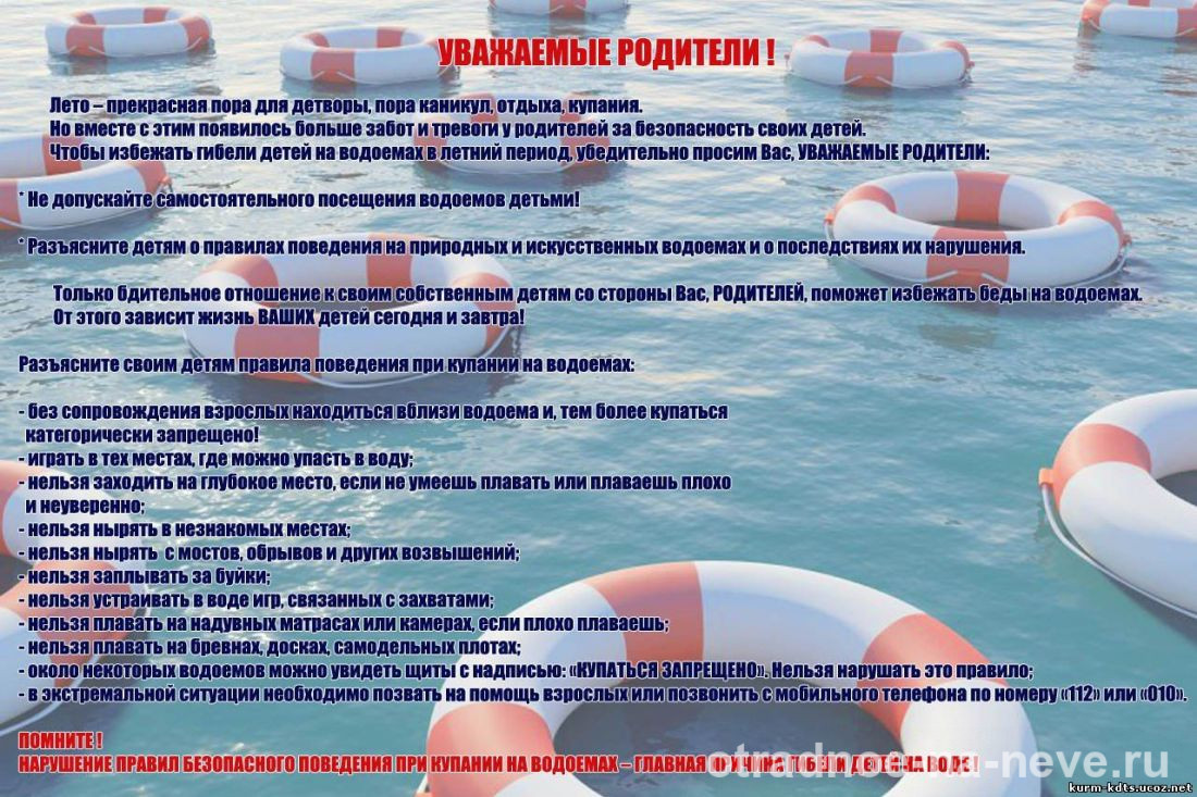 Новое Лето В Круге Жизни Новое Лето В Круге Жизни