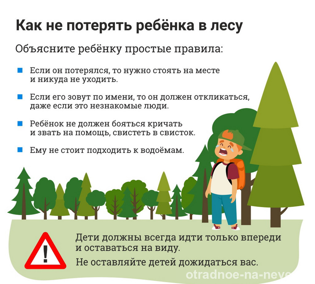 Беседа «Что делать, чтобы не заблудится в лесу?» 2023, Чишминский район —дата и место проведения, программа мероприятия.